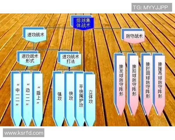 广州排球队在精英赛中的速度优势与战术分析